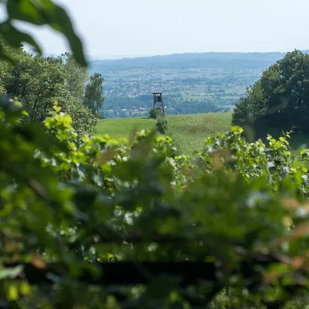 Juricko With Private Sauna *