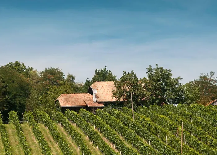 Juricko With Private Sauna *