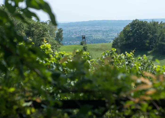 Juricko With Private Sauna *